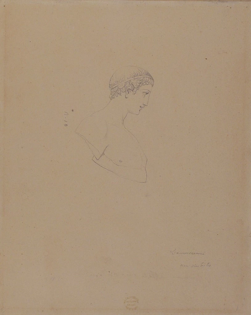 Busto maschile classico di profilo - Metropolitan Museum of Art, New York